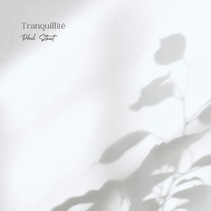 轮轩漂亮人妻视频
